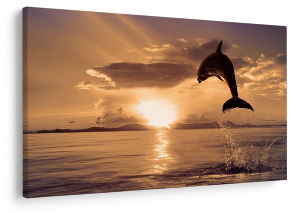 Slika - Delfin na zalasku sunca (90x60 cm)