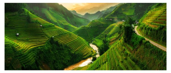 Slika - Mu Cang Chai rižine terase (120x50 cm)