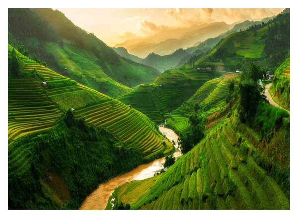 Slika - Mu Cang Chai rižine terase (70x50 cm)