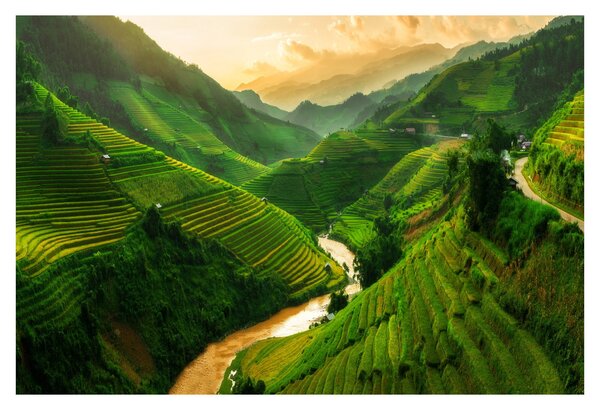 Slika - Mu Cang Chai rižine terase (90x60 cm)
