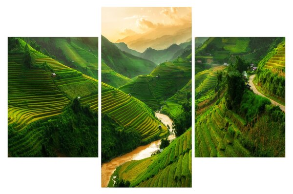 Slika - Mu Cang Chai rižine terase (90x60 cm)