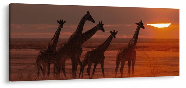 Slika - Žirafe u afričkoj savani (120x50 cm)