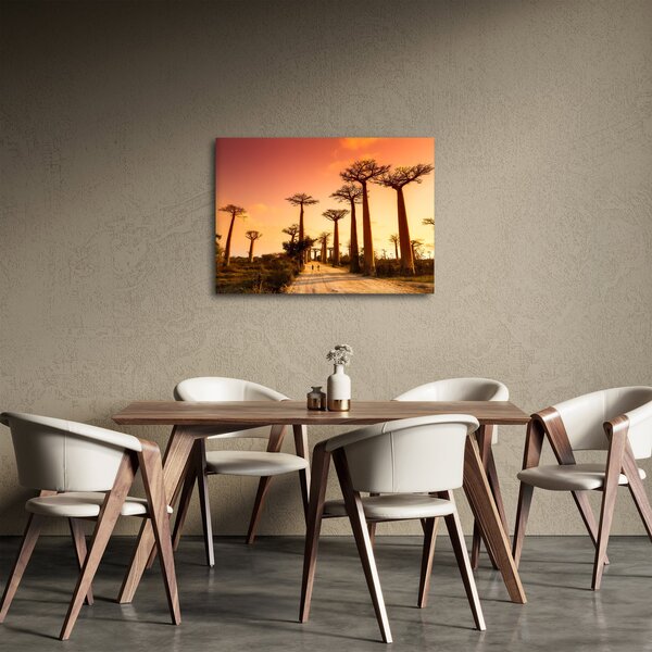Slika - Zalazak sunca u Aleji baobaba (70x50 cm)