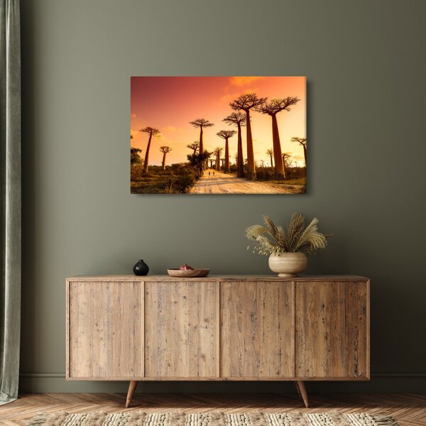 Slika - Zalazak sunca u Aleji baobaba (90x60 cm)