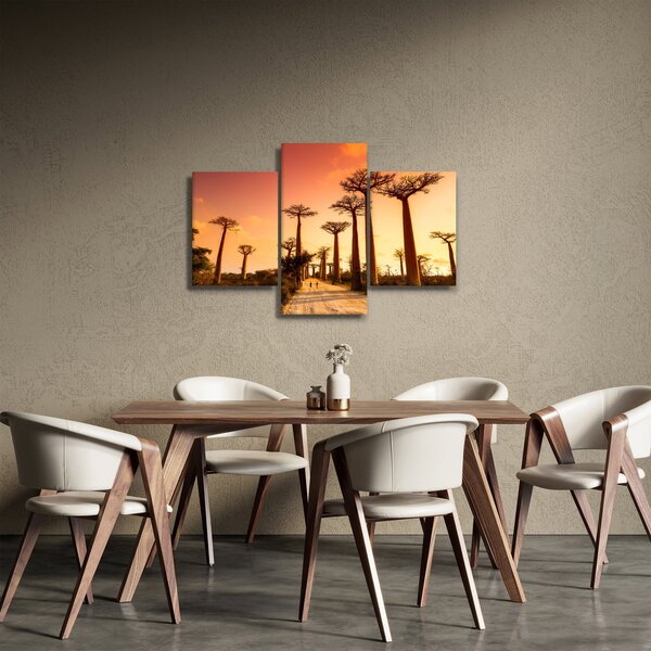 Slika - Zalazak sunca u Aleji baobaba (90x60 cm)