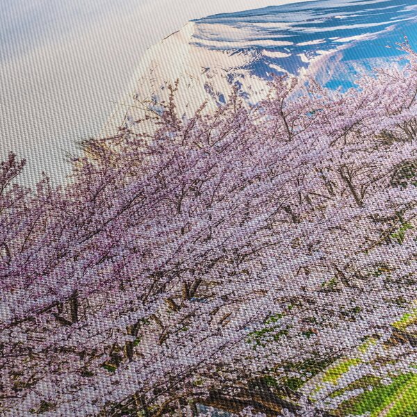 Slika - Japan u proljeće (150x105 cm)