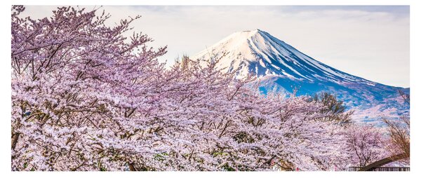 Slika - Japan u proljeće (120x50 cm)