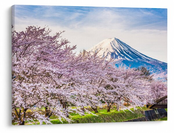 Slika - Japan u proljeće (70x50 cm)