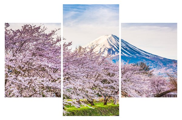 Slika - Japan u proljeće (90x60 cm)