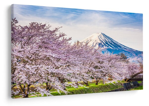 Slika - Japan u proljeće (90x60 cm)