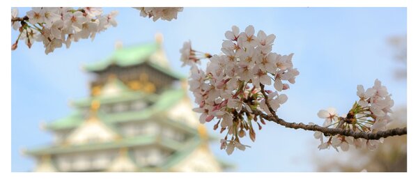Slika - Sakura (120x50 cm)