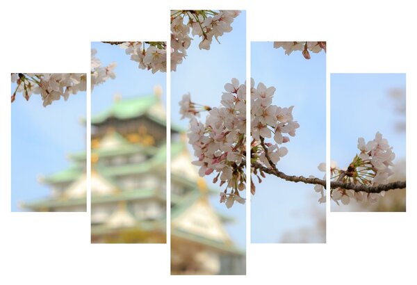 Slika - Sakura (150x105 cm)