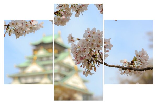 Slika - Sakura (90x60 cm)