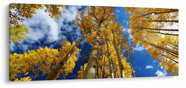 Slika - Aspen (120x50 cm)
