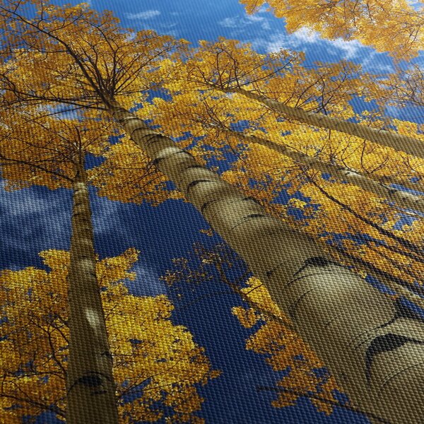 Slika - Aspen (150x105 cm)