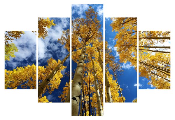 Slika - Aspen (150x105 cm)