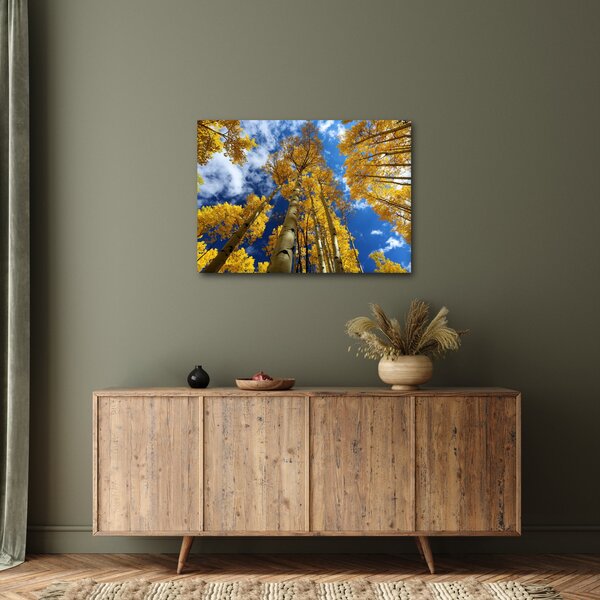 Slika - Aspen (70x50 cm)