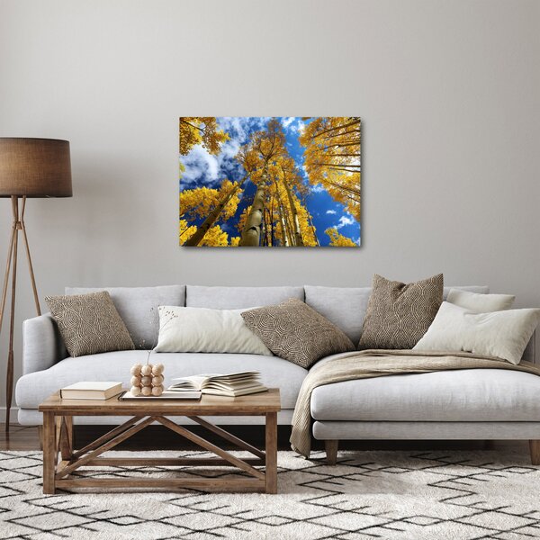 Slika - Aspen (70x50 cm)