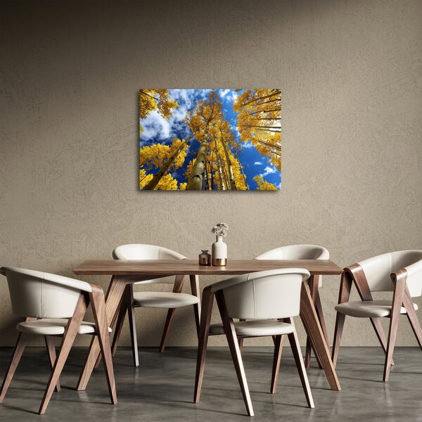 Slika - Aspen (70x50 cm)