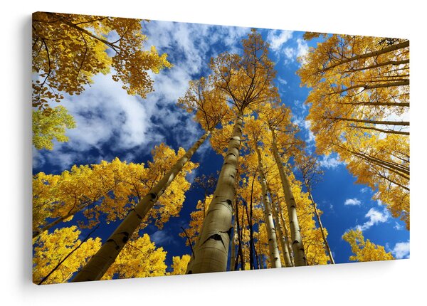 Slika - Aspen (90x60 cm)