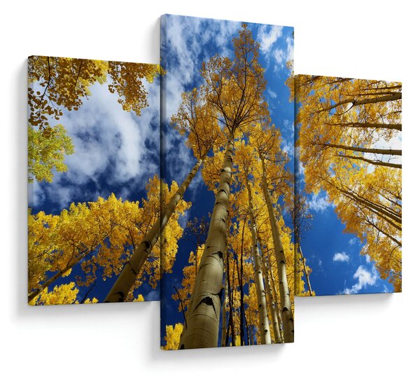 Slika - Aspen (90x60 cm)