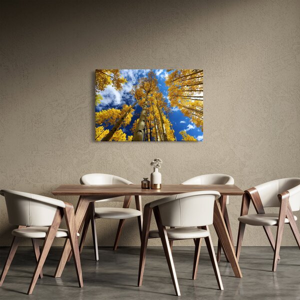 Slika - Aspen (90x60 cm)