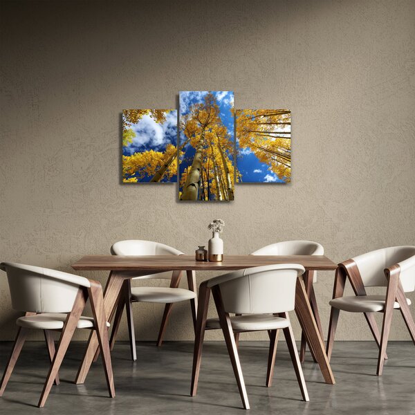 Slika - Aspen (90x60 cm)