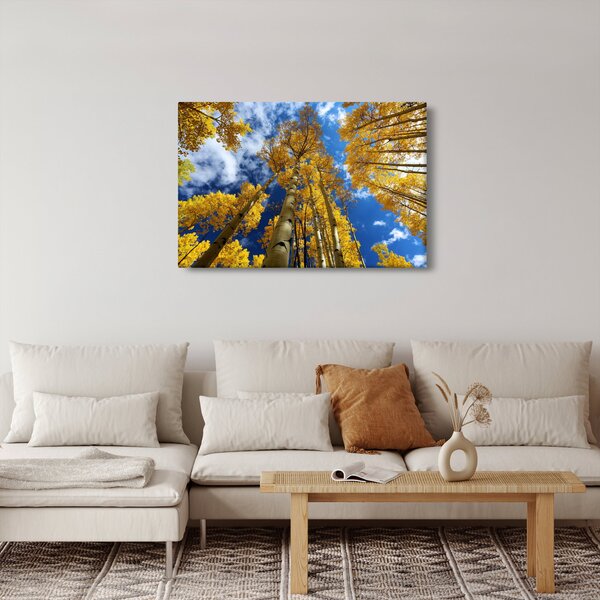 Slika - Aspen (90x60 cm)