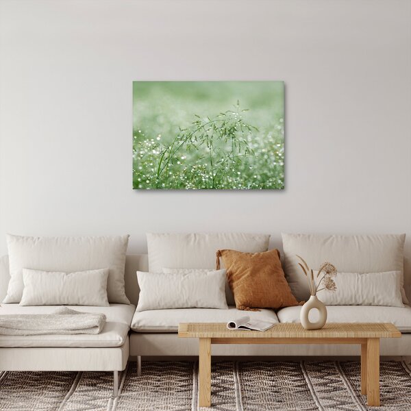 Slika - Jutarnja rosa na vlatima trave (70x50 cm)