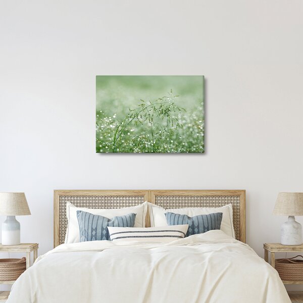 Slika - Jutarnja rosa na vlatima trave (70x50 cm)