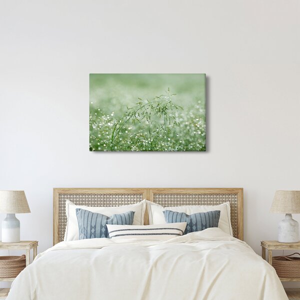 Slika - Jutarnja rosa na vlatima trave (90x60 cm)