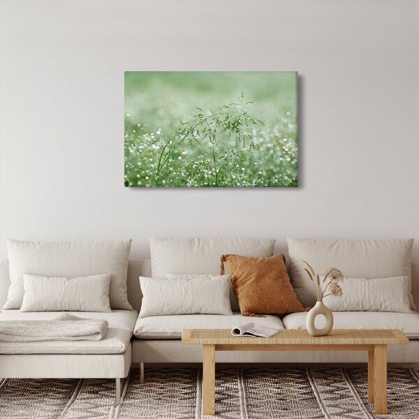 Slika - Jutarnja rosa na vlatima trave (90x60 cm)