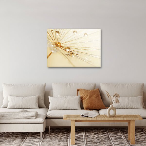 Slika - Makro fotografija maslačka (70x50 cm)