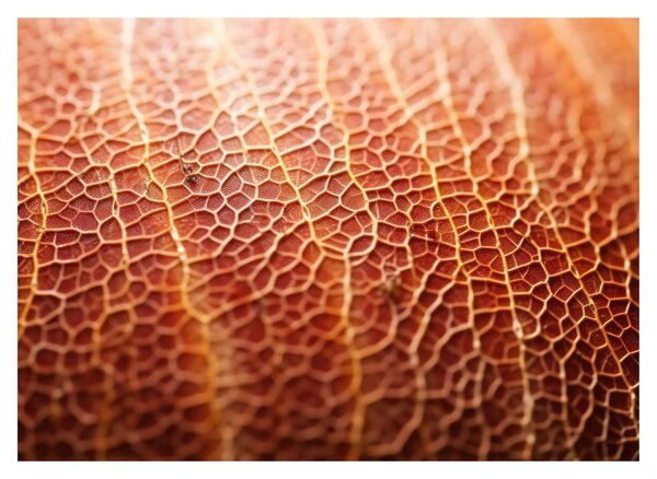 Slika - Detalj teksture (70x50 cm)