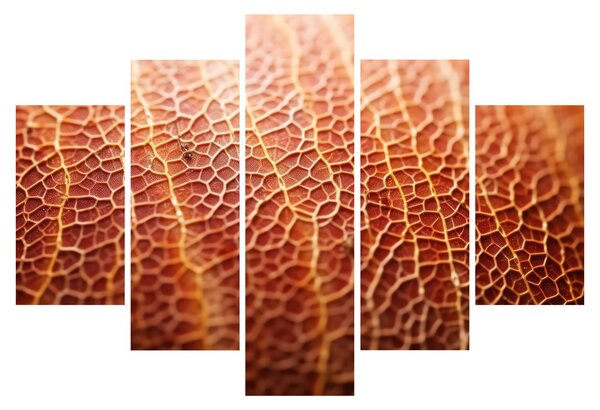 Slika - Detalj teksture (150x105 cm)