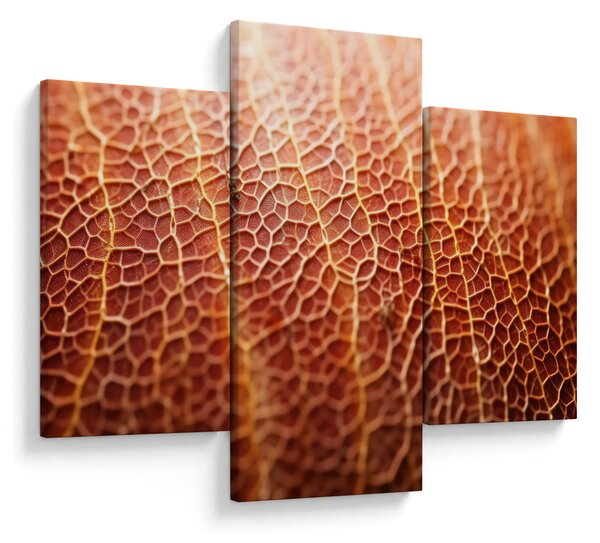Slika - Detalj teksture (90x60 cm)