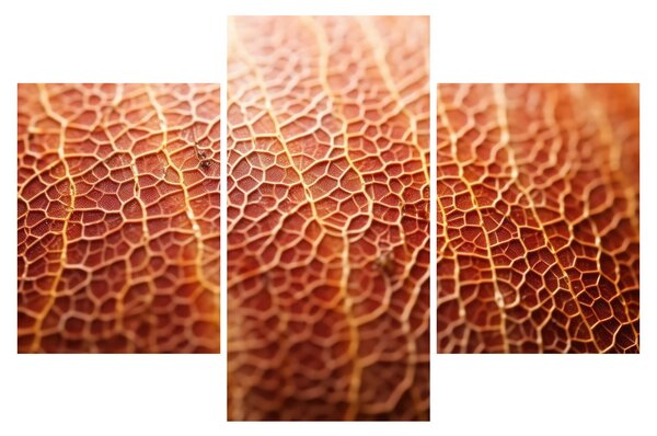Slika - Detalj teksture (90x60 cm)