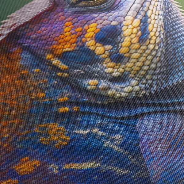 Slika - Obojena iguana (70x50 cm)