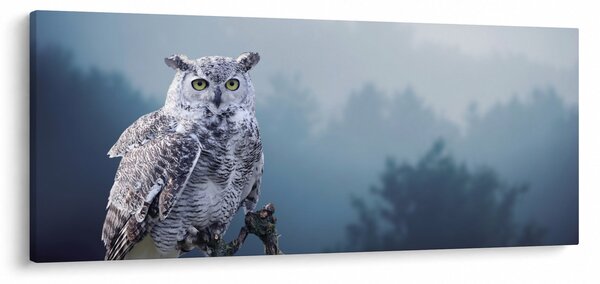 Slika - Snježna sova (120x50 cm)