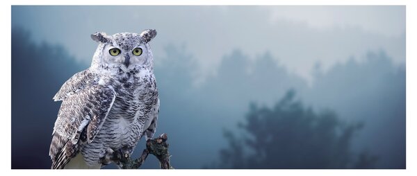 Slika - Snježna sova (120x50 cm)