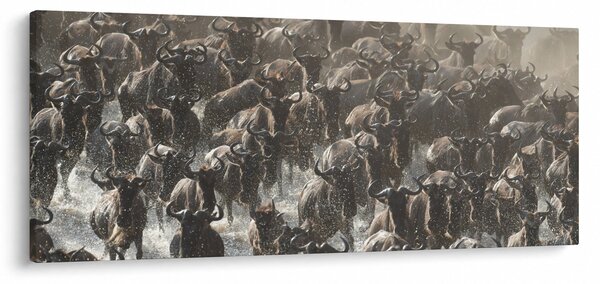 Slika - Krdo gnuova (120x50 cm)