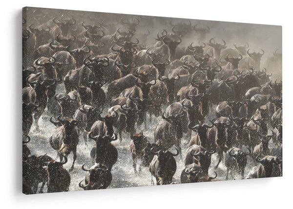 Slika - Krdo gnuova (90x60 cm)
