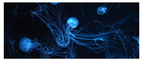Slika - Meduza (120x50 cm)