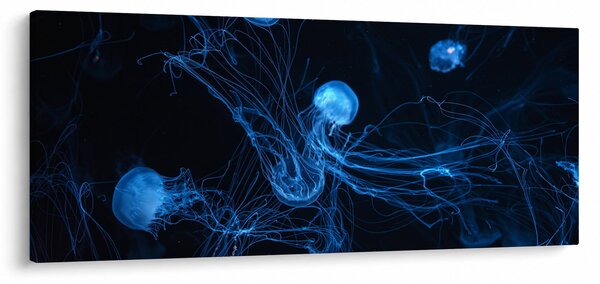 Slika - Meduza (120x50 cm)