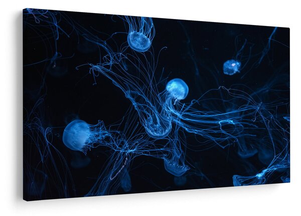 Slika - Meduza (90x60 cm)