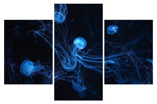Slika - Meduza (90x60 cm)