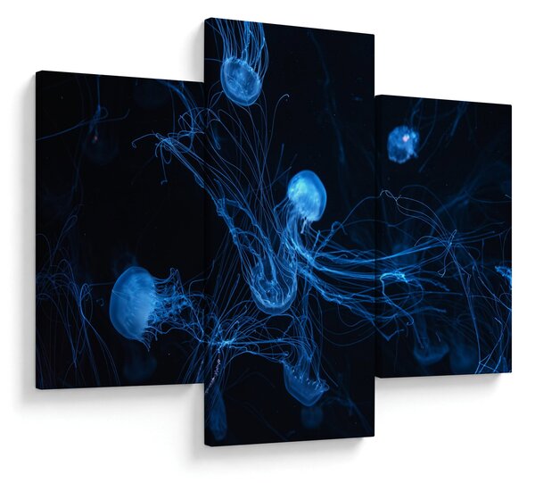 Slika - Meduza (90x60 cm)