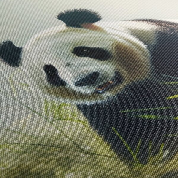 Slika - Panda (90x60 cm)