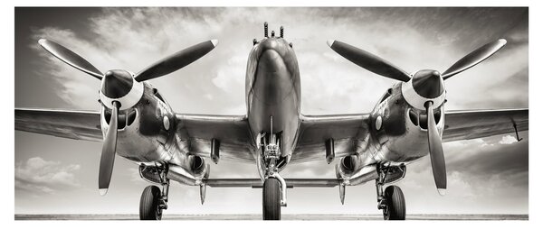 Slika - Warbird (120x50 cm)