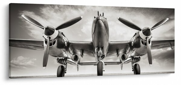Slika - Warbird (120x50 cm)